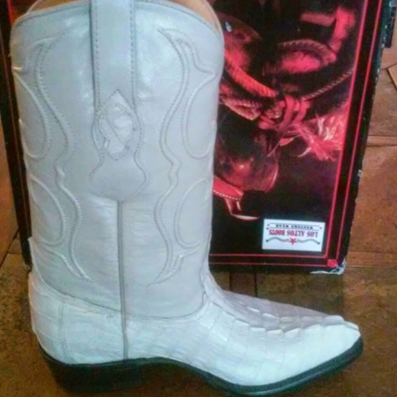 🐊🪭🐊 Boots On The Ground🐊🪭🐊